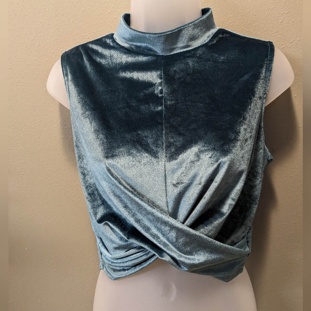 Akira velvet cropped tank